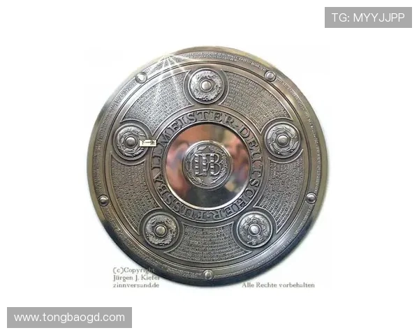 德甲各球队累计获得的各项奖杯数量统计报告